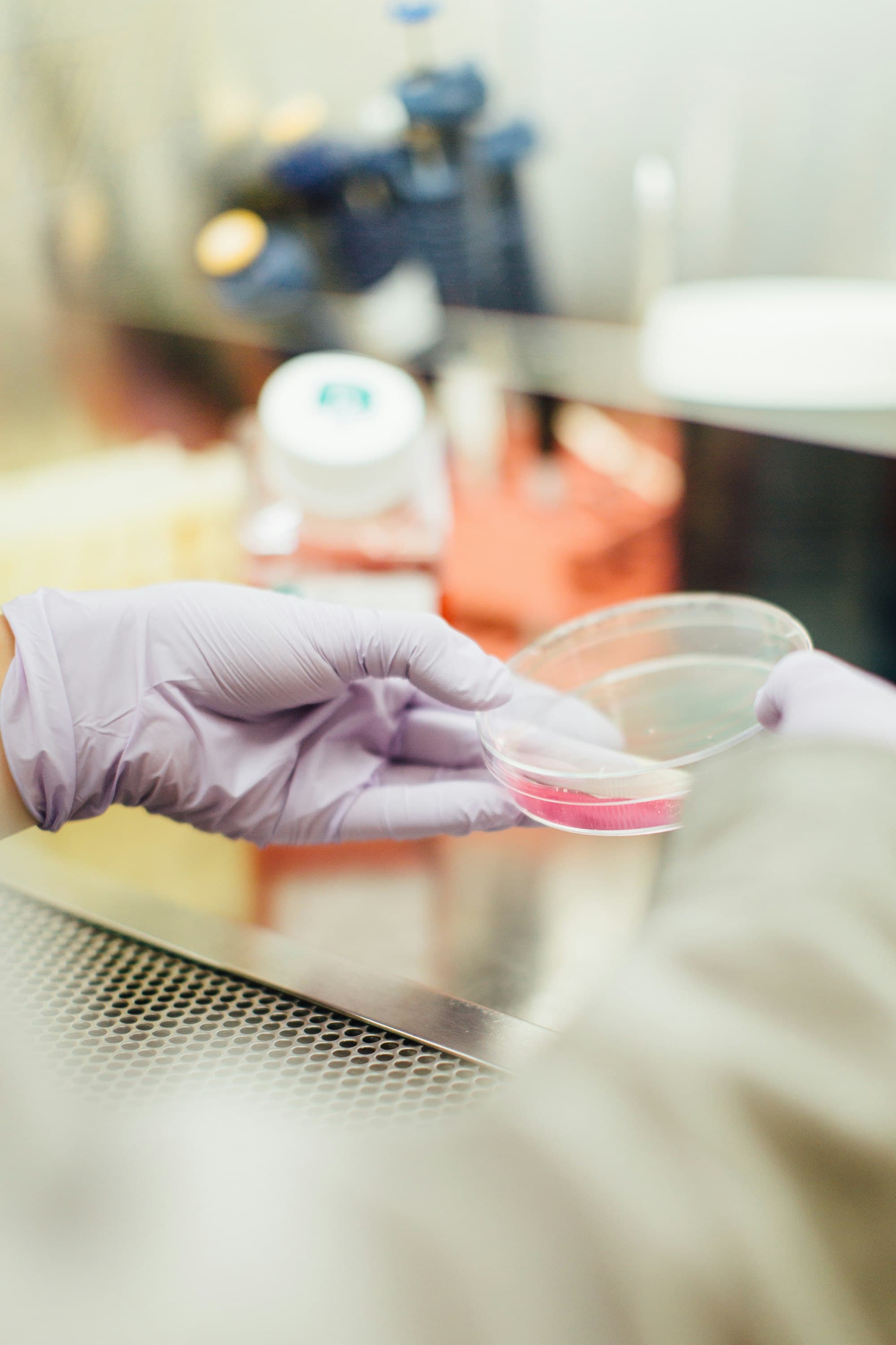 A gloved hand holding a clear sample container in a lab