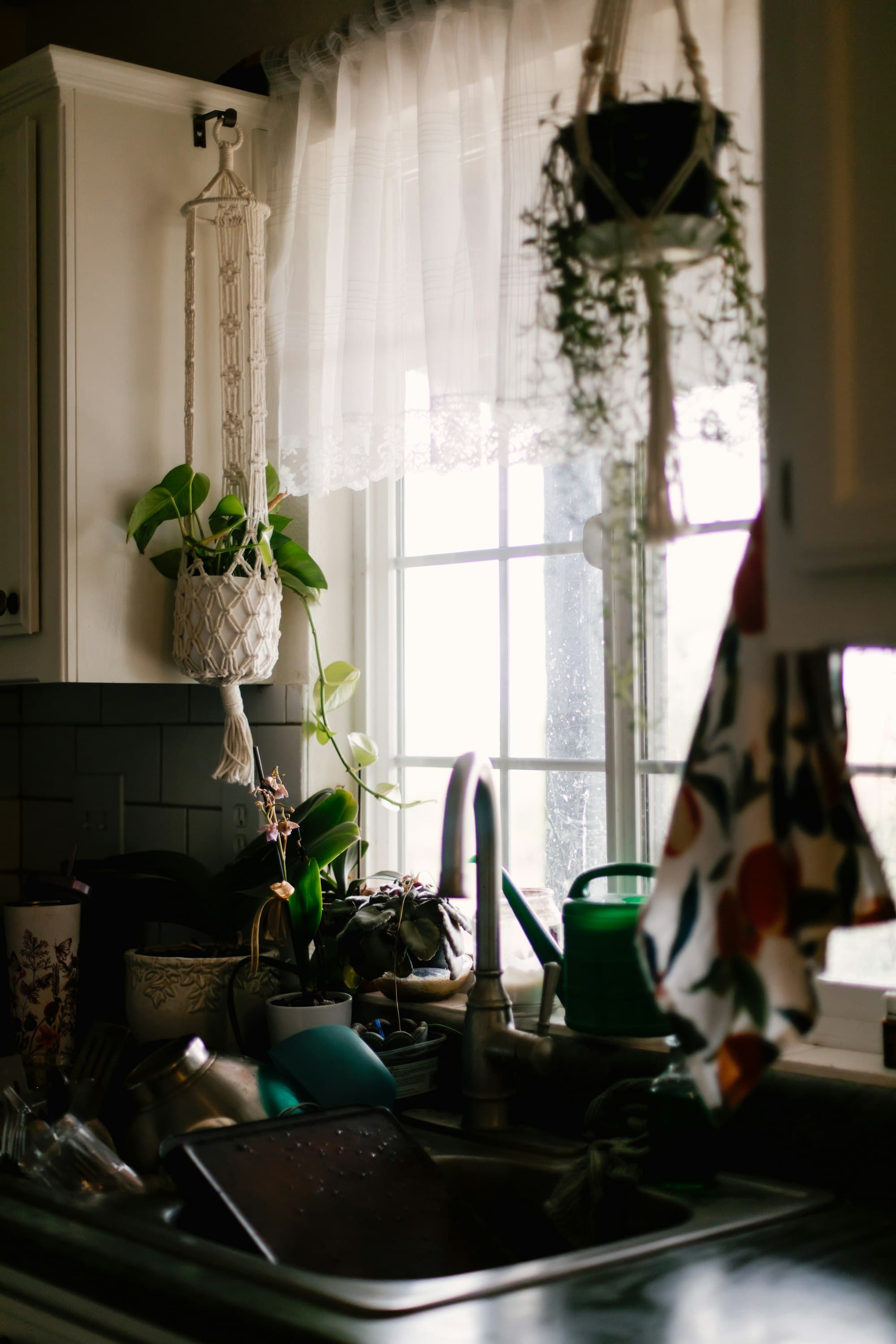 A bright kitchen sink by a window with plants